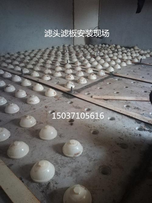 �L���V�^�c�V�尲�b�F��
