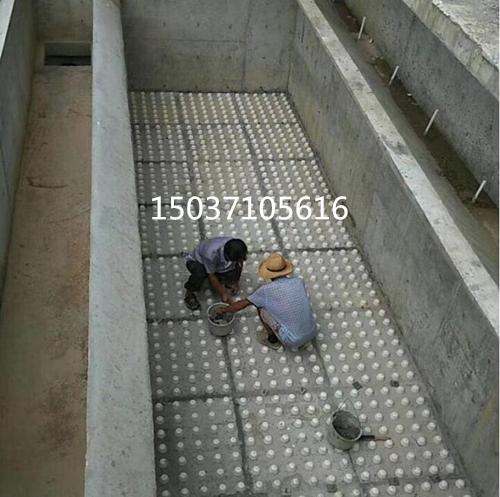 �V�^���b����